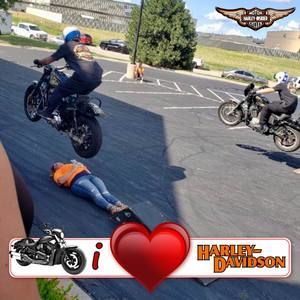 Meet your Posher, Brandy